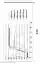 Fig. 13 - MATERIALS AND METHODS FOR DIAGNOSIS OF PERI-IMPLANT BONE AND JOINT INFECTIONS USING  PROPHENOLOXIDASE PATHWAY