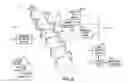 Fig. 07 - Luminaire associate