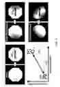 Fig. 11 - OPTICAL SCRAMBLERS