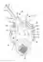 Fig. 01 - Buffer tube pullback preventer assembly