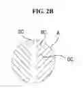 Fig. 04 - Curved liquid crystal display and method of manufacturing the same