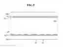 Fig. 07 - Curved liquid crystal display and method of manufacturing the same