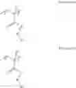 Fig. 02 - Resist underlayer film-forming composition for lithography containing polymer having blocked isocyanate structure