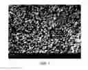 Fig. 02 - Polymer/Carbon Black Composite: Method for Its Preparation and Use Thereof