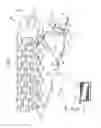 Fig. 02 - Image forming apparatus with protection for heating member