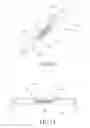 Fig. 33 - Coupling member and electronic device including the same