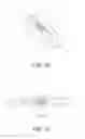 Fig. 40 - Coupling member and electronic device including the same