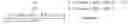 Fig. 02 - Image diagnosis assistance apparatus, control method thereof, and program