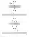 Fig. 03 - Touch screen panel