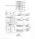 Fig. 12 - Animated data visualization video