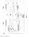 Fig. 04 - Application for auto deletion of images