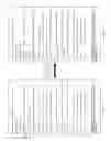Fig. 07 - Voice commands for report editing