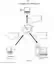 Fig. 07 - Multicultural communication management