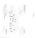 Fig. 05 - Application for auto deletion of images