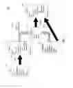 Fig. 02 - Entity integration using high-level scripting languages