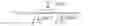 Fig. 06 - Incremental maintenance of inverted indexes for approximate string matching