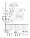 Fig. 29 - Information processing device and information processing method