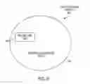 Fig. 10 - CONFIDENCE INTERVAL ESTIMATION OF SPECIES IN METAGENOMIC DATA