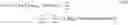 Fig. 05 - Systems, apparatus, and methods for analyzing and predicting cellular pathways