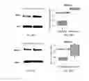 Fig. 25 - Systems, apparatus, and methods for analyzing and predicting cellular pathways