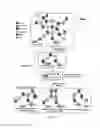 Fig. 33 - Systems, apparatus, and methods for analyzing and predicting cellular pathways