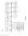 Fig. 02 - Annotation and assessment of images