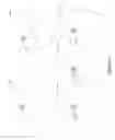 Fig. 03 - Annotation and assessment of images