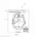 Fig. 06 - Annotation and assessment of images