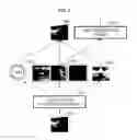 Fig. 05 - Method and apparatus for face recognition