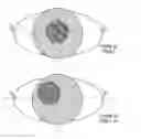 Fig. 01 - LIVENESS DETECTION