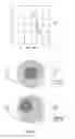 Fig. 11 - LIVENESS DETECTION