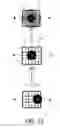 Fig. 16 - LIVENESS DETECTION