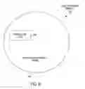 Fig. 09 - Self-optimized object detection using online detector selection