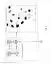 Fig. 05 - QUERY AND DENSITY-BASED LOCATION ANALYSIS