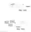 Fig. 20 - METHOD AND SYSTEM FOR CREATING AN ENDURING HABITAT