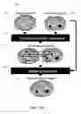 Fig. 09 - 3D reconstruction and registration of endoscopic data
