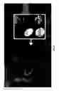 Fig. 10 - Dynamic Interactive Electronic Gaming System