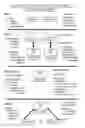 Fig. 03 - PREVERBAL ELEMENTAL MUSIC: MULTIMODAL INTERVENTION TO STIMULATE AUDITORY PERCEPTION AND RECEPTIVE LANGUAGE ACQUISITION