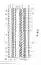 Fig. 09 - Display device and method of driving the same