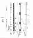 Fig. 08 - Display apparatus and method of driving the same