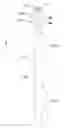 Fig. 01 - Electronic instrument and method for using same
