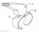 Fig. 01 - Detachable whistle
