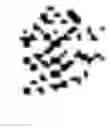 Fig. 44 - Text-to-speech method and multi-lingual speech synthesizer using the method