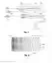 Fig. 08 - Audio information processing