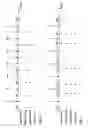 Fig. 06 - Correlating physical page addresses for soft decision decoding