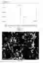 Fig. 07 - Method of preparing copper-based composite conductive powder
