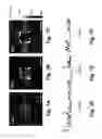 Fig. 08 - Scanning probe lithography methods utilizing an enclosed sinusoidal pattern