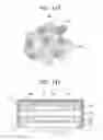 Fig. 28 - Packaged semiconductor chips having heat dissipation layers and ground contacts therein