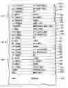 Fig. 01 - Inverted metamorphic multijunction solar cell with a single metamorphic layer