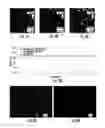 Fig. 03 - Polymer-perovskite films, devices, and methods